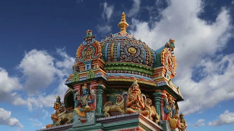 Biodiversity Complex, a paradise for nature lovers