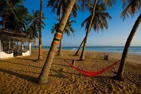 Nothing but waves and good vibes