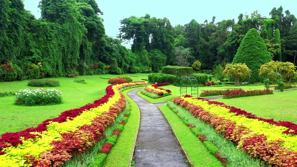 Where green meets calm