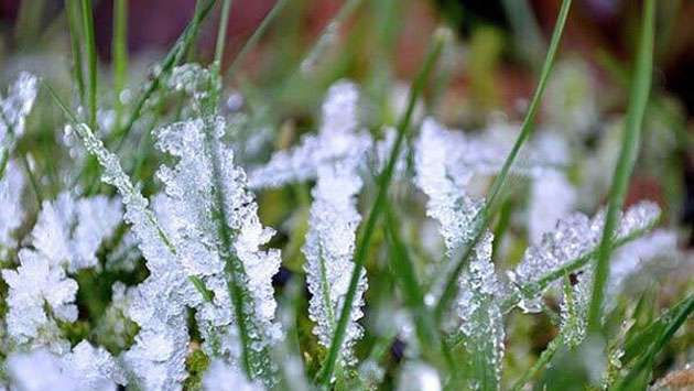 Misty mornings, cool hills, timeless charm