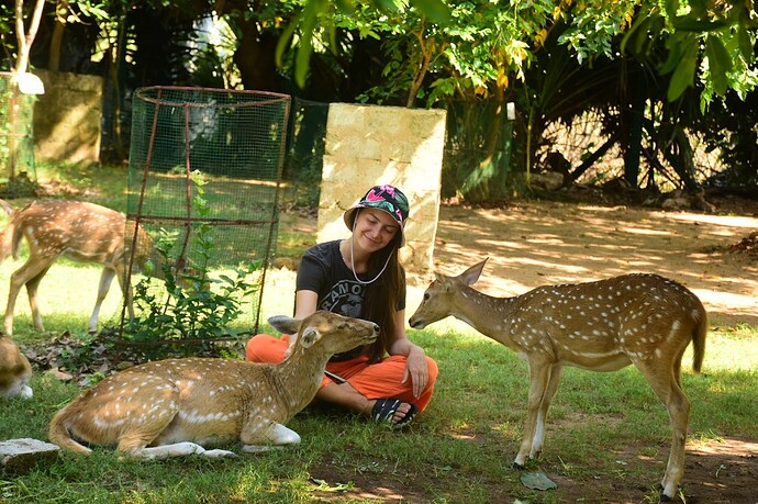 A peaceful encounter