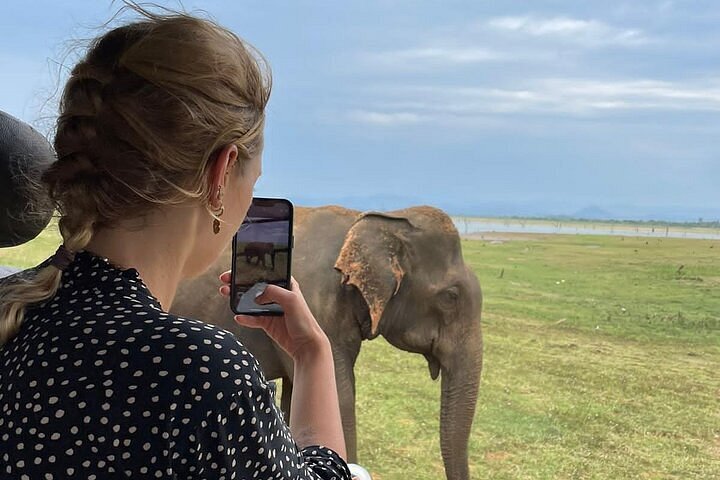 Meet Sri Lanka’s gentle giants up close at Udawalawe