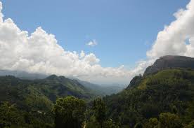 Mountains, mist, and freedom, Ella Gap magic