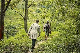 Feel alive in Ella’s lush green landscapes