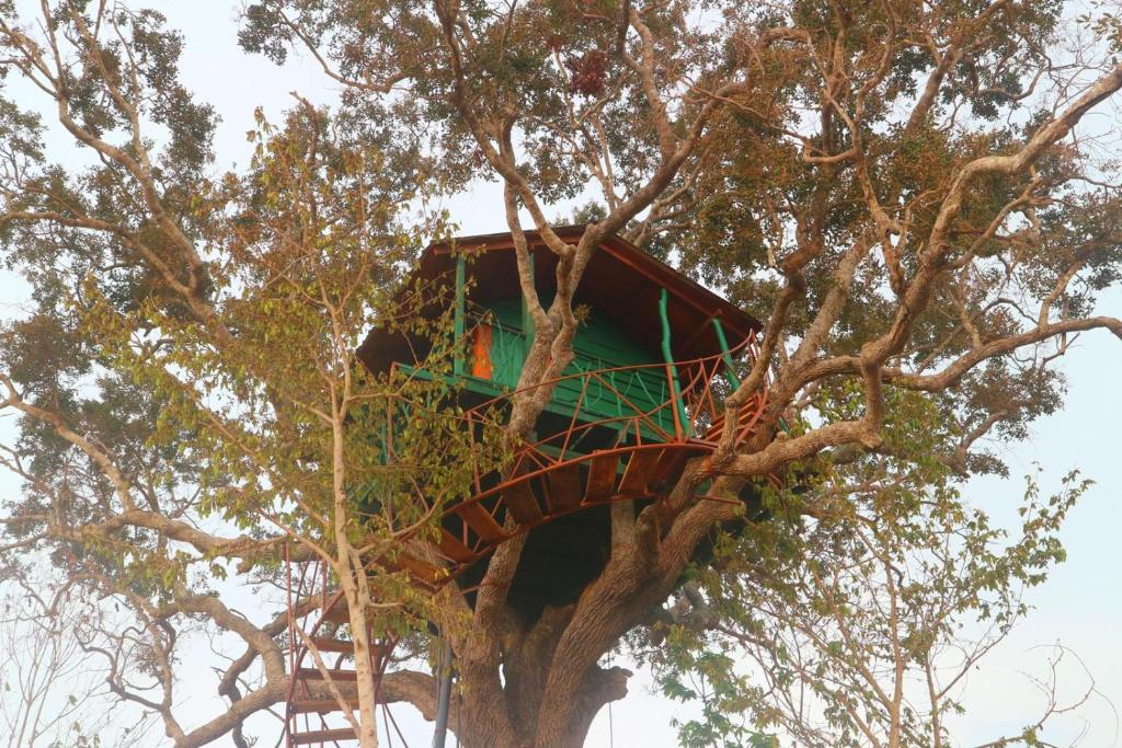 Unique Wilpattu treehouse