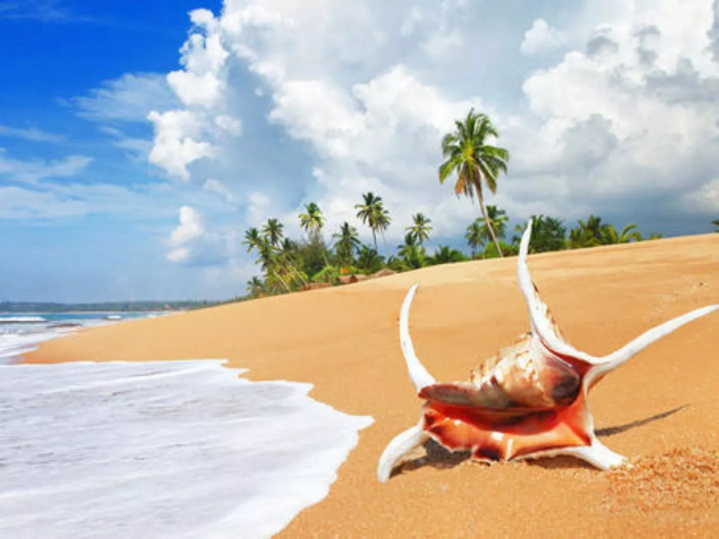 Golden Sand beach - Top attraction in Bentota, Sri Lanka