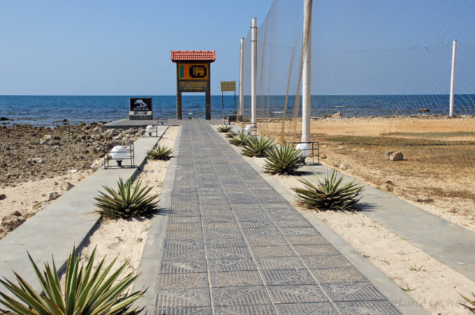 Point Pedro - Top attraction in Jaffna, Sri Lanka