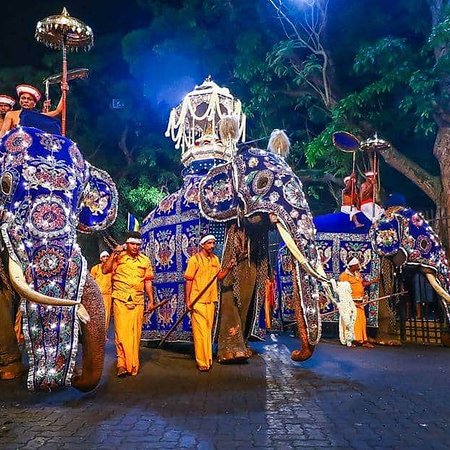 Esala Perahara - Top attraction in Kandy, Sri Lanka