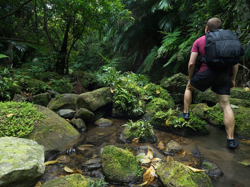 Udawatta Forest Reserve - Top attraction in Kandy, Sri Lanka
