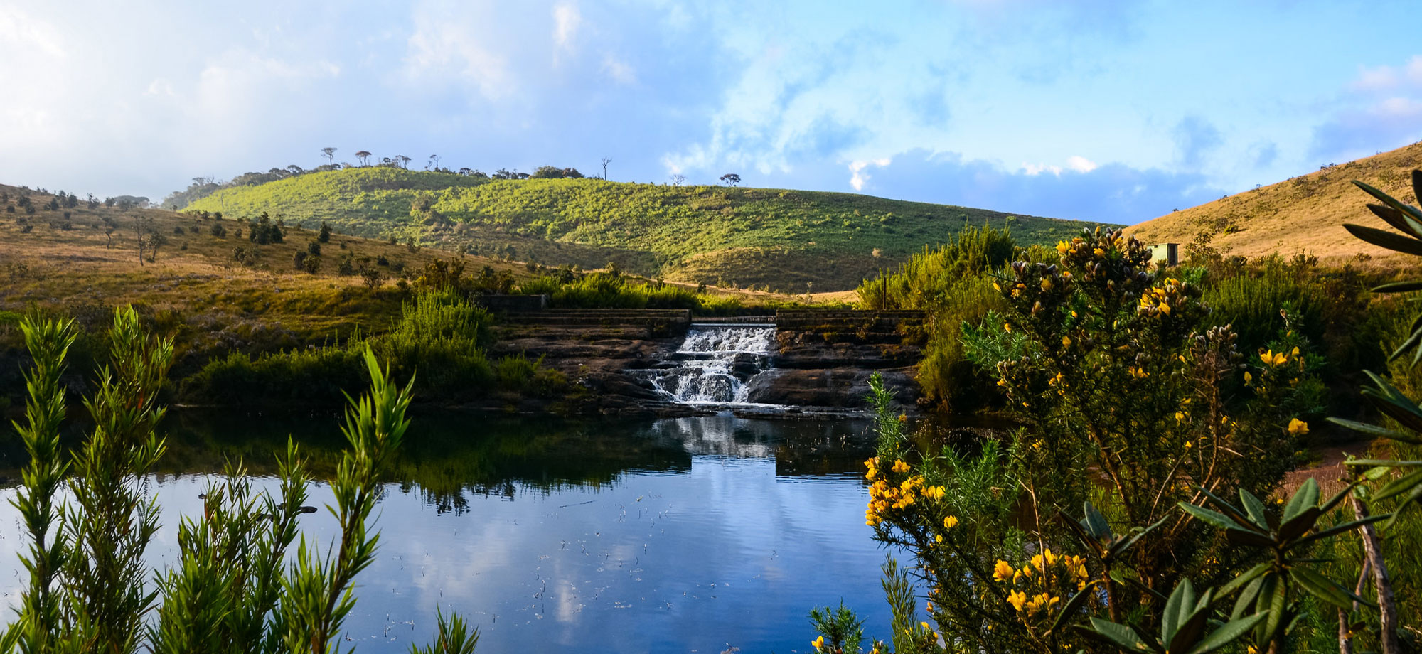 Horton Plains - Top attraction in NuwaraEliya, Sri Lanka