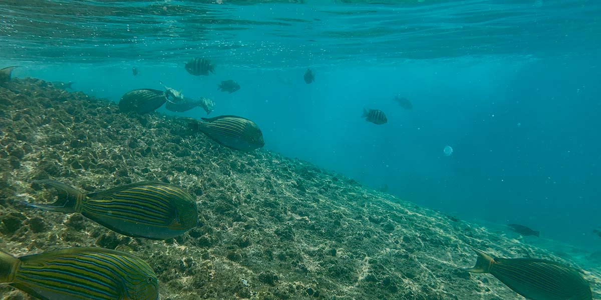 Watersport - Top attraction in Pasikuda, Sri Lanka