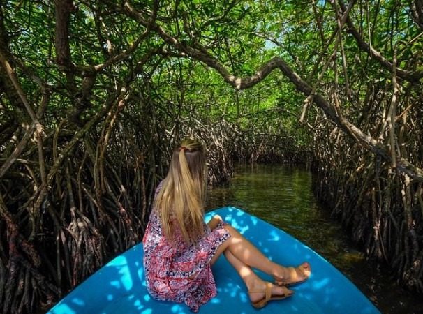 Boat Tours - Top attraction in Negombo, Sri Lanka