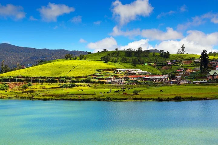 Visit NuwaraEliya - Hill Country in NuwaraEliya, Sri Lanka
