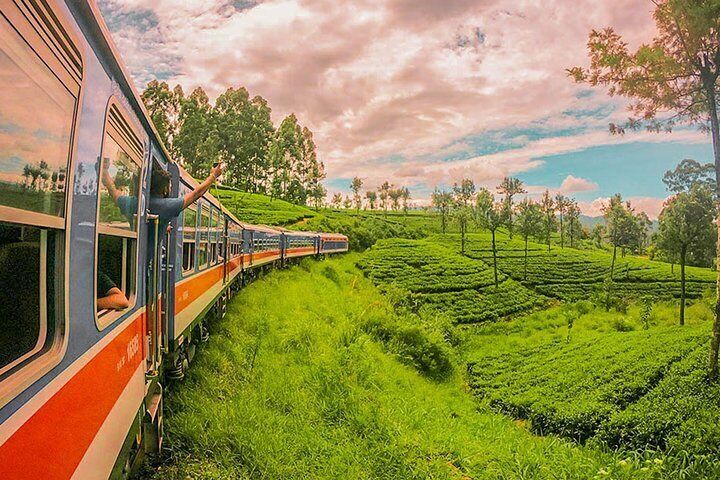 The Highland Express in Sri Lanka: Ella to Kandy • 7 Hours of Wonder - Imalanka Tours