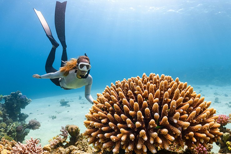 Sacred Waters in Sri Lanka: Trincomalee • Diving Reefs - Imalanka Tours